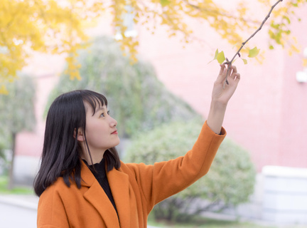 提交菲律宾签证申请后，一般被退签的原因有哪些呢？